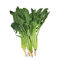 	Chiness Spinach