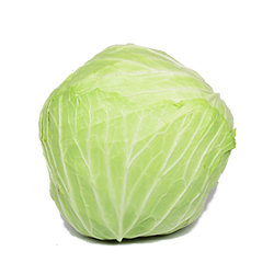 	White Cabbage