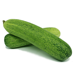 	Long Cucumber