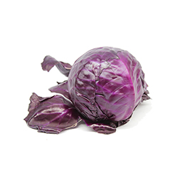 	Red Cabbage