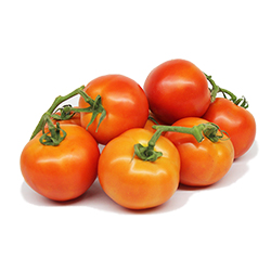 	Table tomato