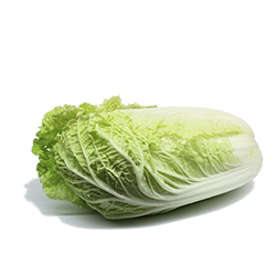 	Chinese cabbage