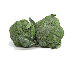 	Broccoli