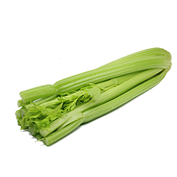 	Celery