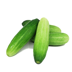 	Cucumber 