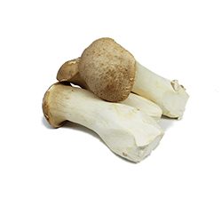 	Eryngii Quel Mushroom (Size M)