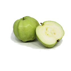 Guava (Kimju)