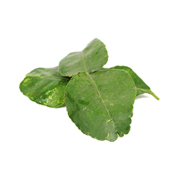 	Kaffir lime leaves