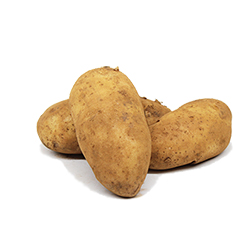	Potato